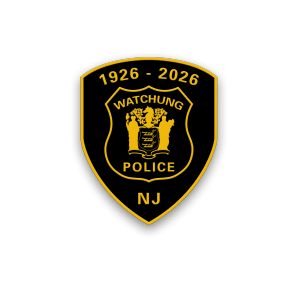 100 Year Anniversary Patch